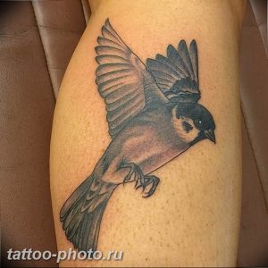 рисунка тату воробей 03.12.2018 №008 - photo tattoo sparrow - tattoo-photo.ru